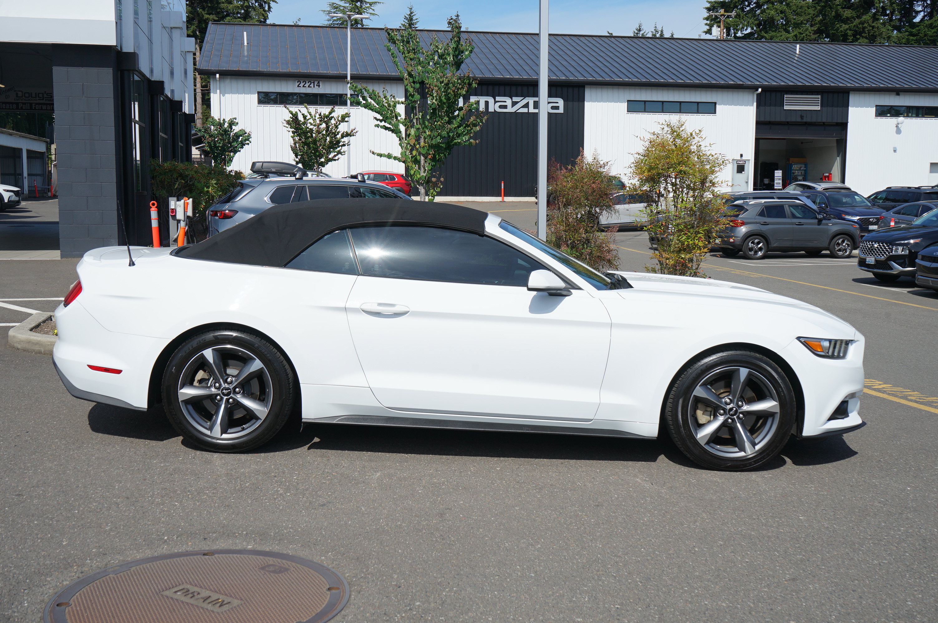 Used 2016 Ford Mustang Convertible w/ Equipment Group 051A RWD image 2