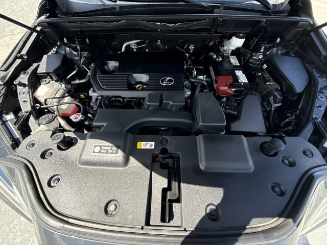 Certified 2024 Lexus NX 250 FWD w/ Cold Area Package image 27