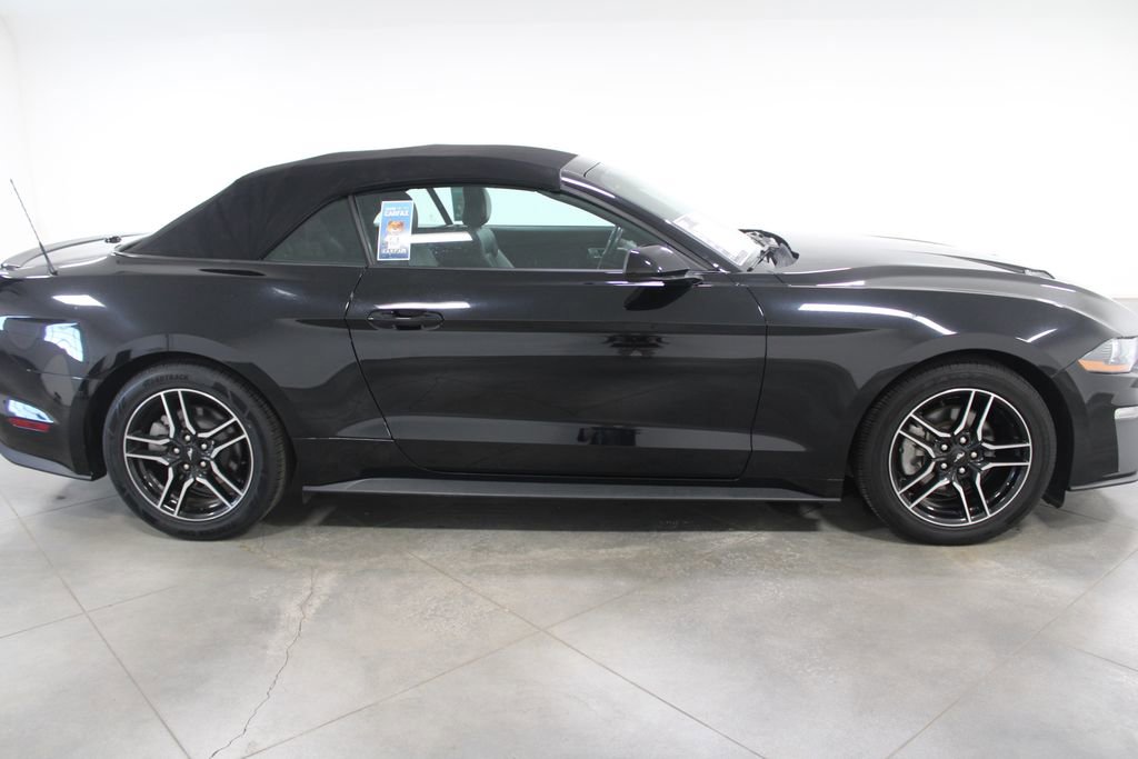 Used 2023 Ford Mustang Premium image 11