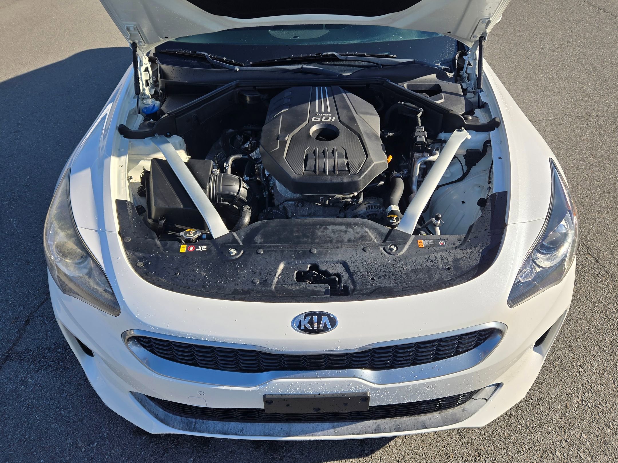 Certified 2019 Kia Stinger image 19