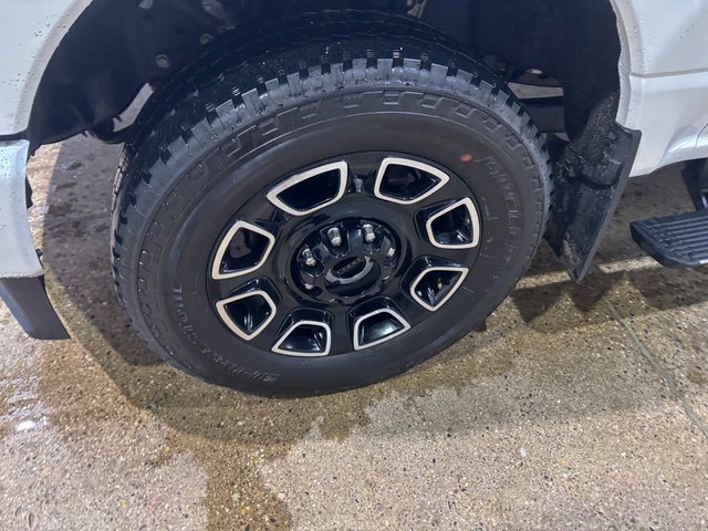 Used 2025 Ford F250 Platinum image 12