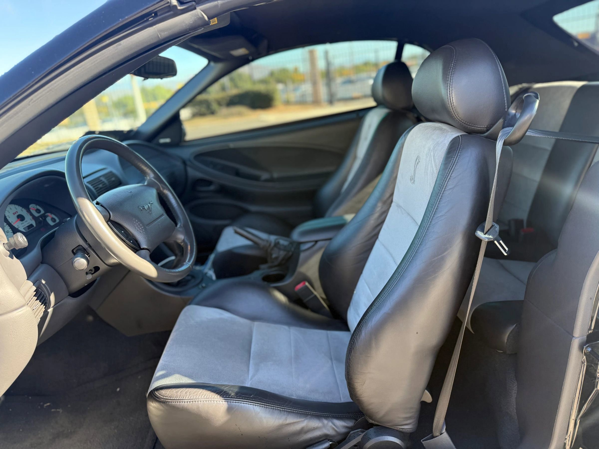 Used 2004 Ford Mustang Cobra image 4