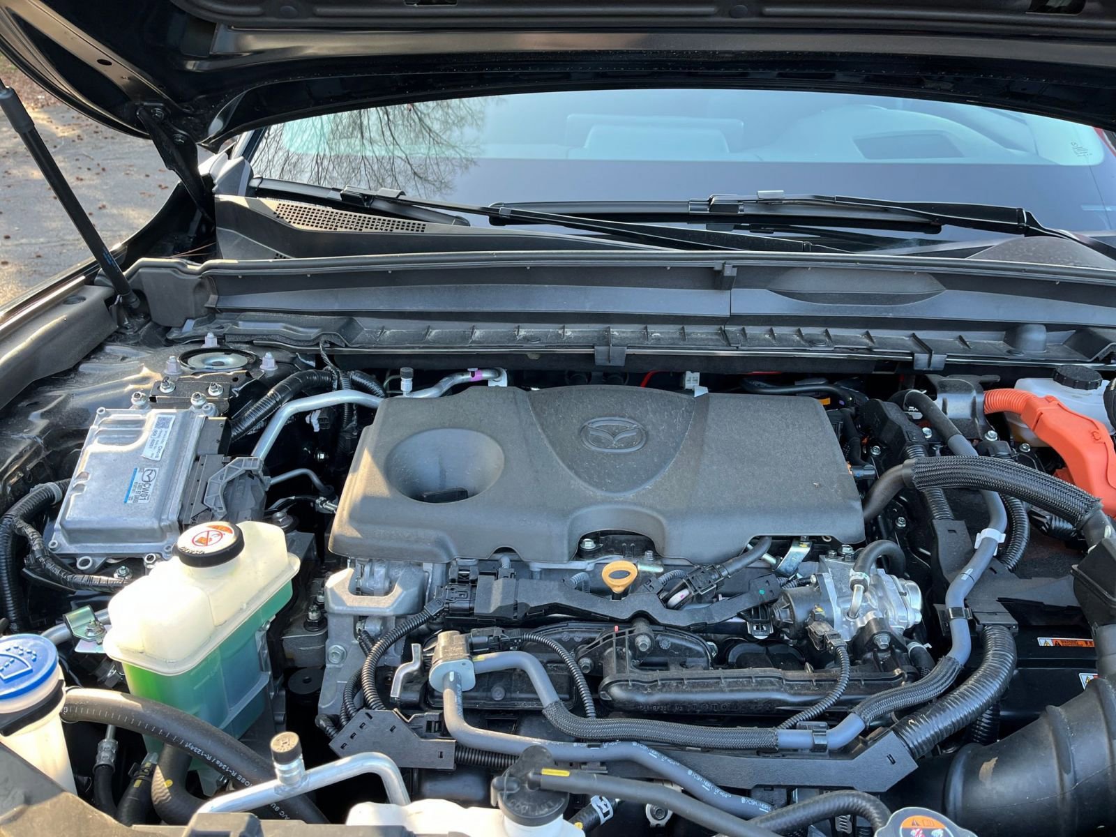 Used 2025 MAZDA CX-50 2.5 Hybrid w/ Premium Plus Pkg image 34