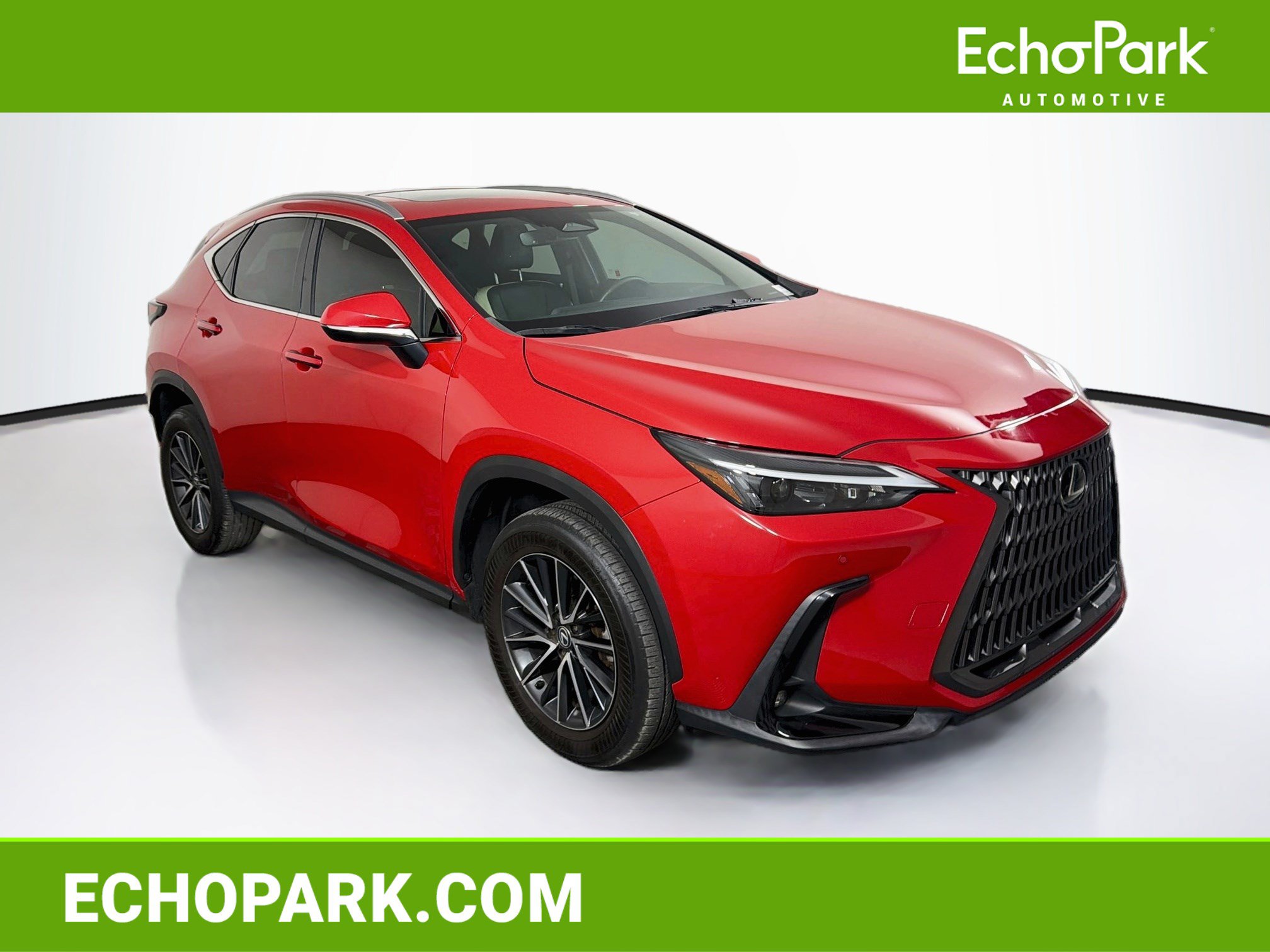 Used 2024 Lexus NX 250 FWD