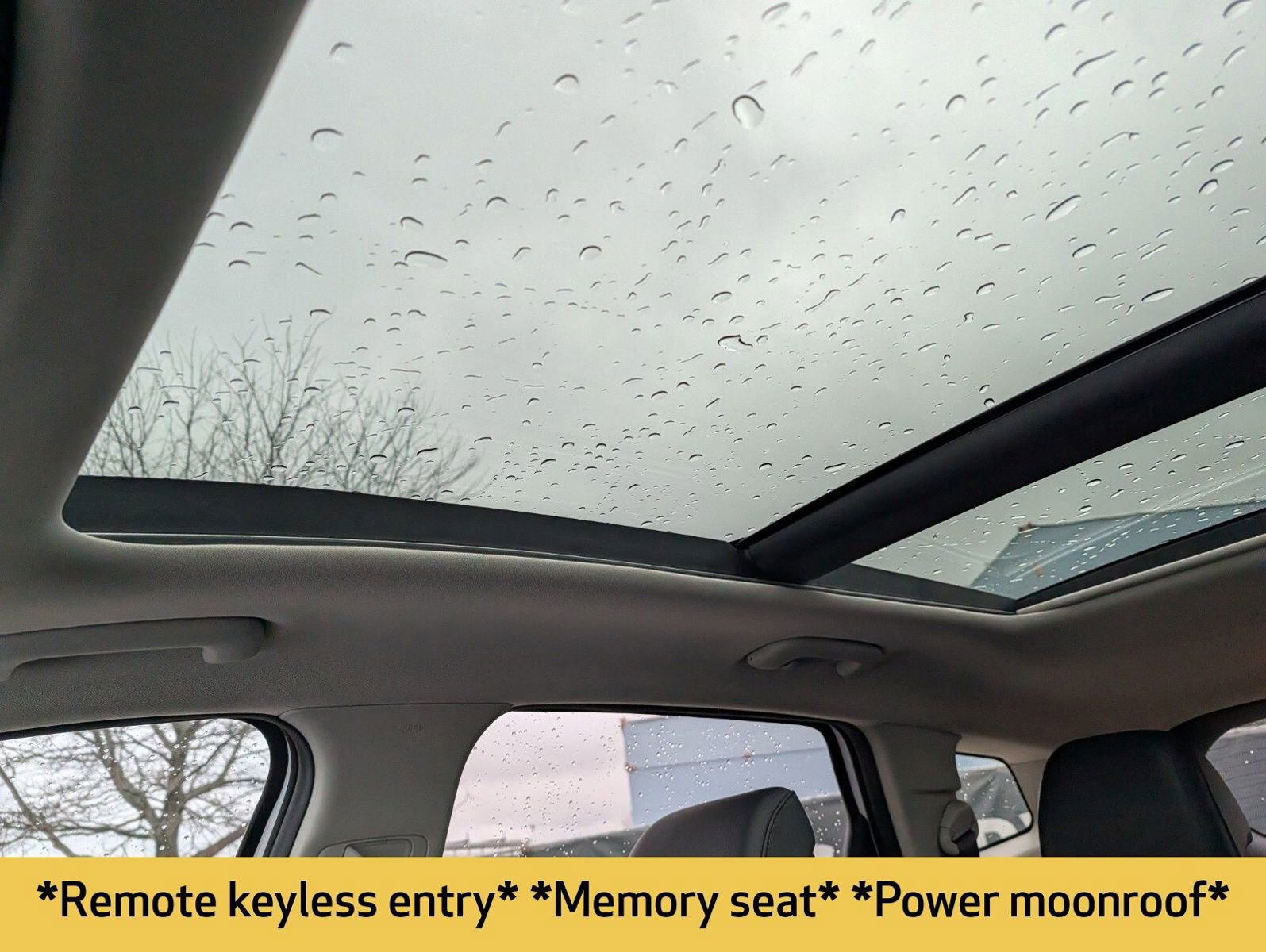 Used 2024 Kia Sportage SX image 5