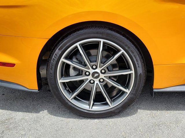 Used 2019 Ford Mustang Premium w/ Equipment Group 201A image 5
