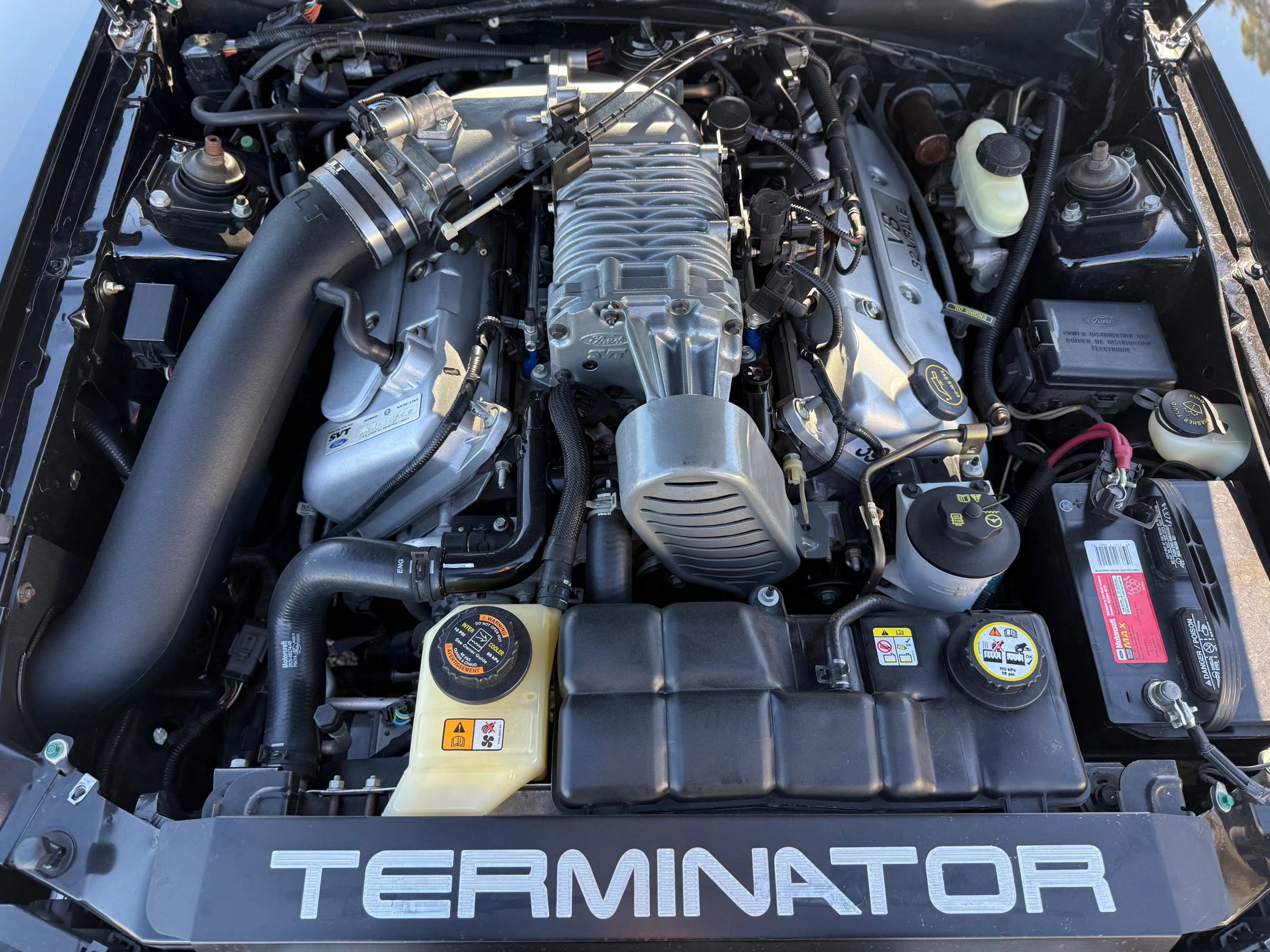 Used 2004 Ford Mustang Cobra image 2