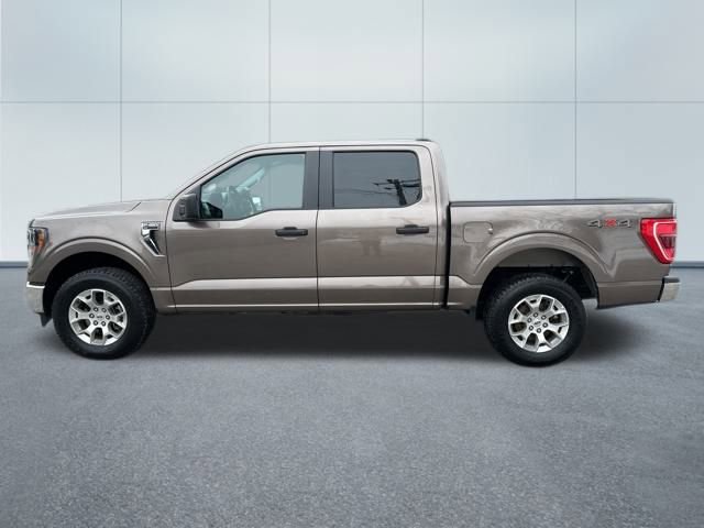 Used 2023 Ford F150 XLT image 9