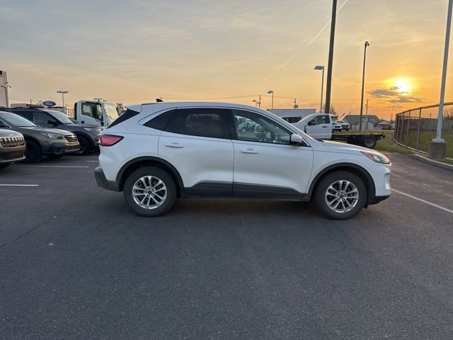 Used 2020 Ford Escape SE image 4