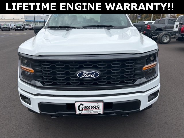 New 2025 Ford F150 STX image 3