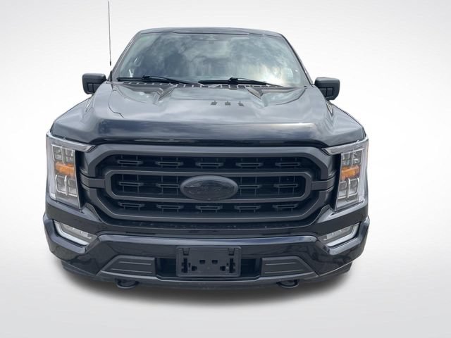 Used 2023 Ford F150 XLT w/ Equipment Group 302A High AWD/4WD image 8