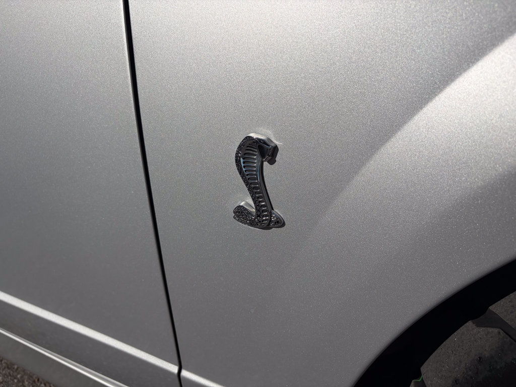 Used 2004 Ford Mustang Cobra RWD image 40