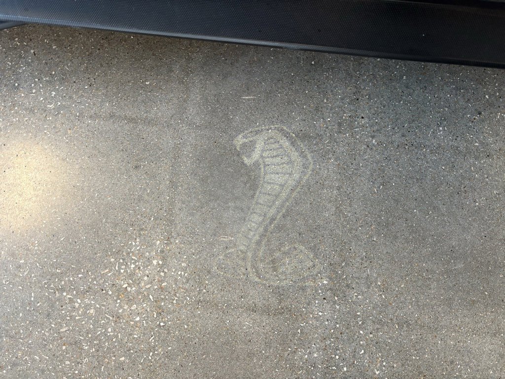 Used 2021 Ford Mustang Shelby GT500 w/ Carbon Fiber Track Pack image 13