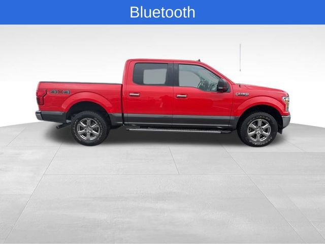 Used 2019 Ford F150 XLT w/ Equipment Group 302A Luxury AWD/4WD image 6