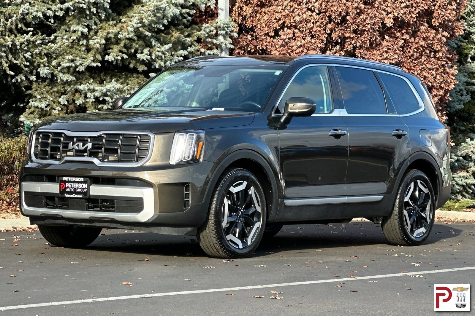 Used 2025 Kia Telluride S image 8