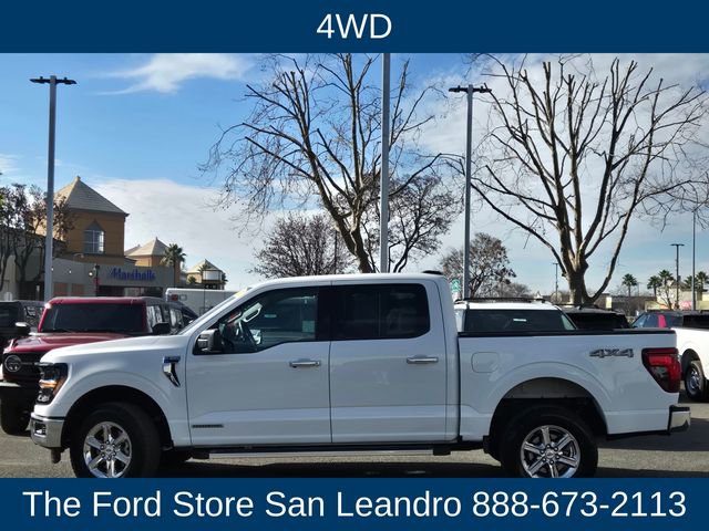 Used 2025 Ford F150 XLT w/ Equipment Group 301A Standard image 5