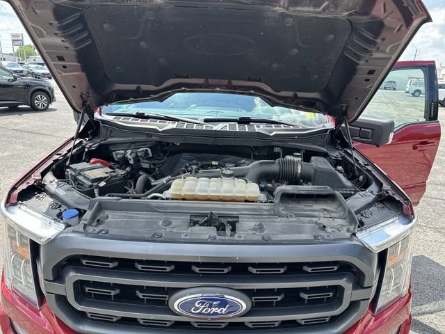 Used 2021 Ford F150 XLT w/ Equipment Group 302A High AWD/4WD image 19