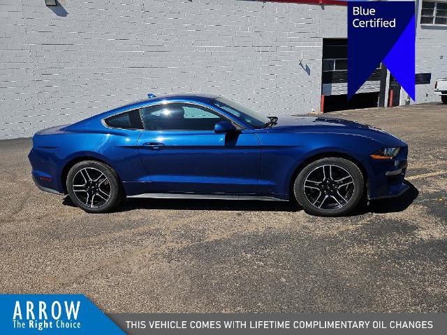 Certified 2023 Ford Mustang Coupe w/ Equipment Group 101A RWD image 14