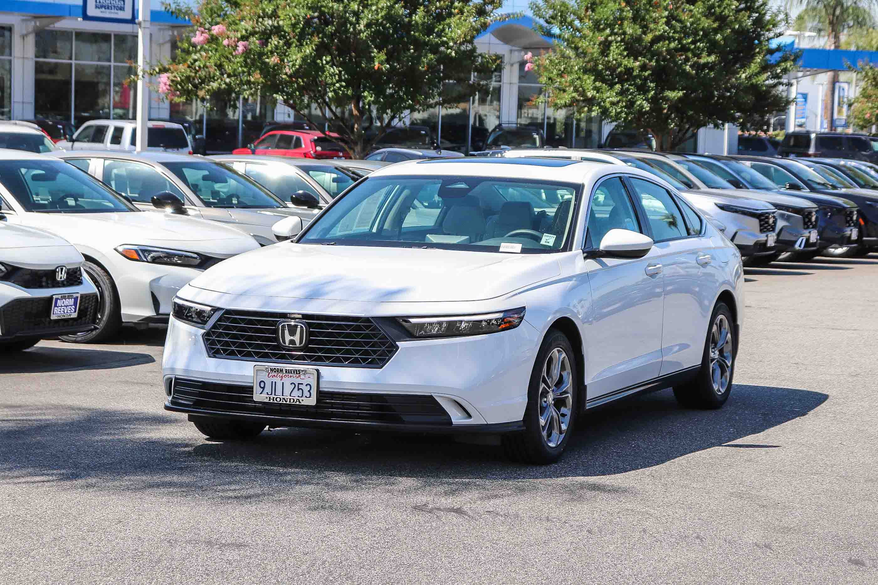 Certified 2024 Honda Accord EX image 3