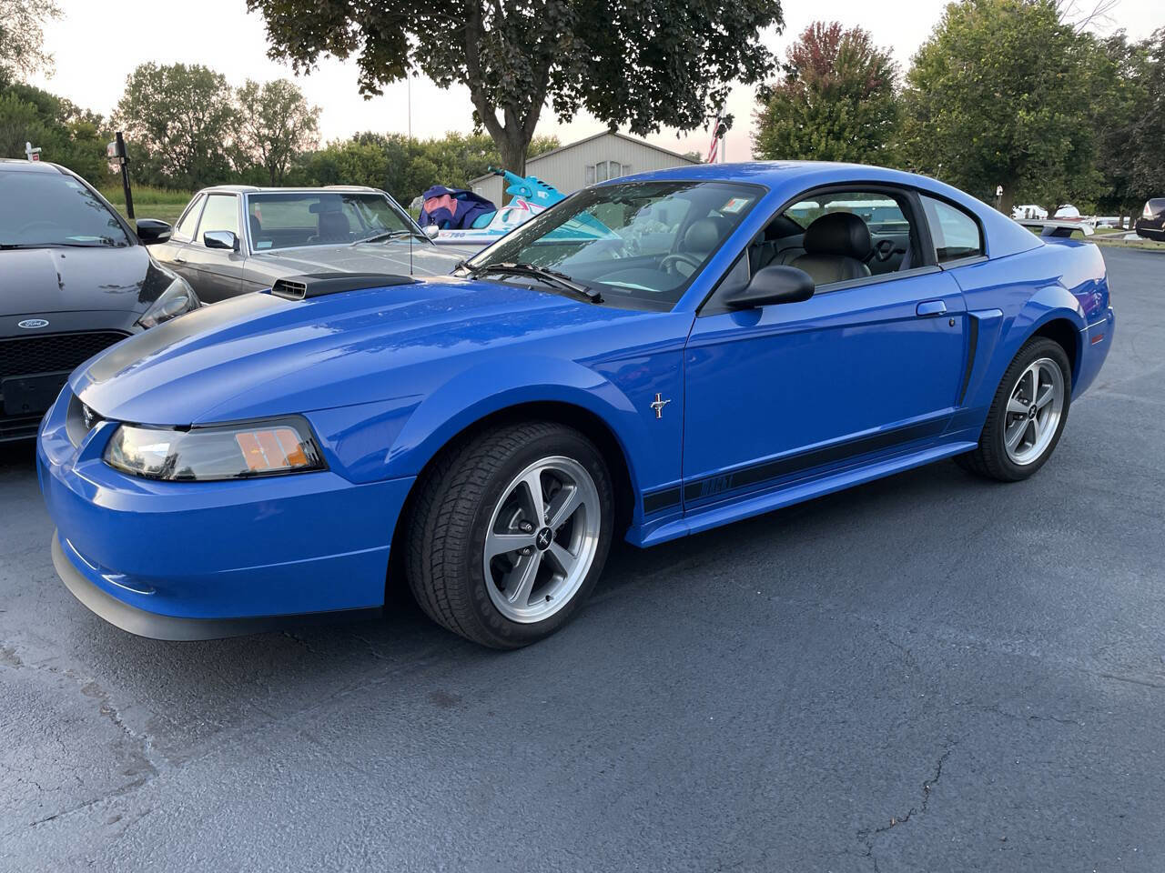 Used 2003 Ford Mustang Mach 1