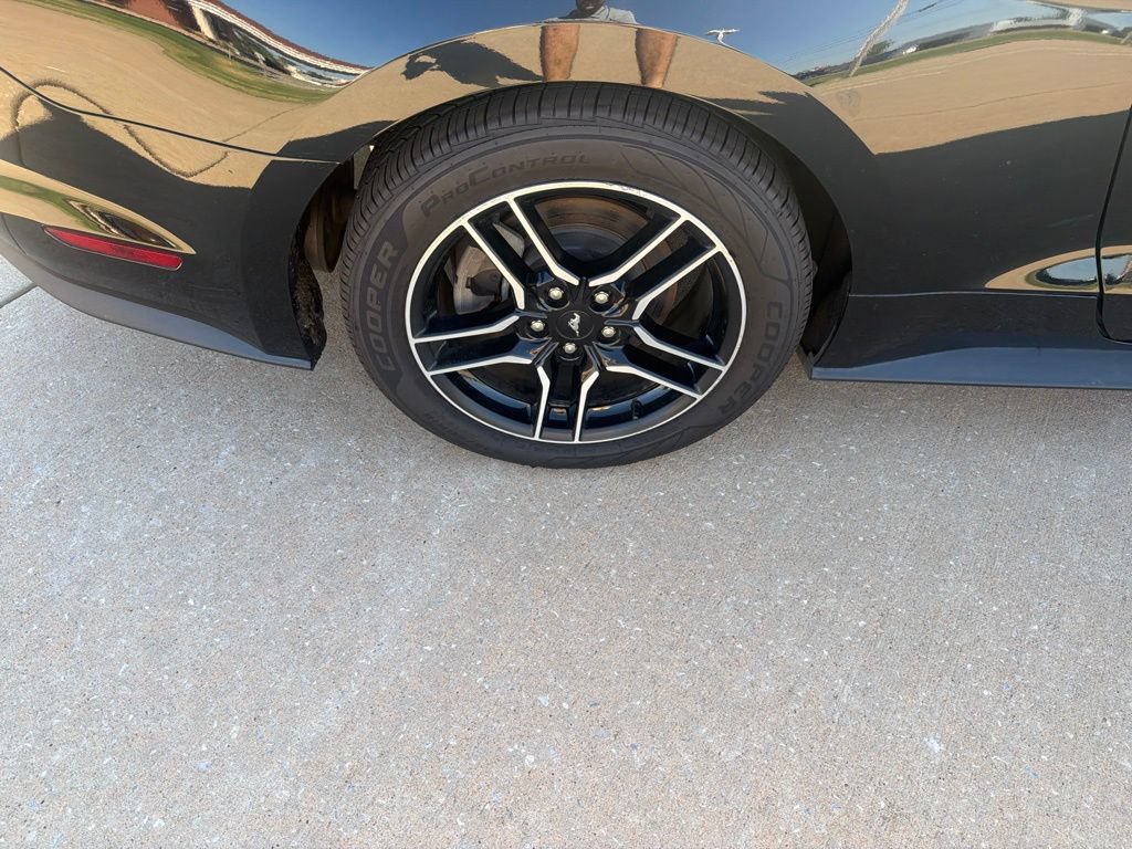 Used 2022 Ford Mustang Premium RWD image 13