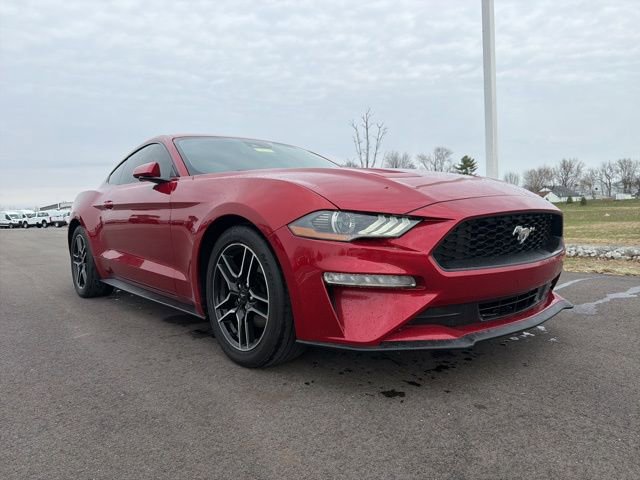 Used 2021 Ford Mustang EcoBoost w/ Equipment Group 101A image 1