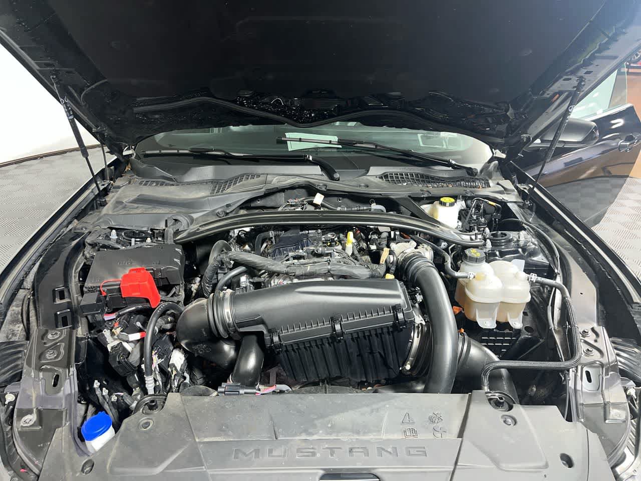 Used 2025 Ford Mustang Premium RWD image 12