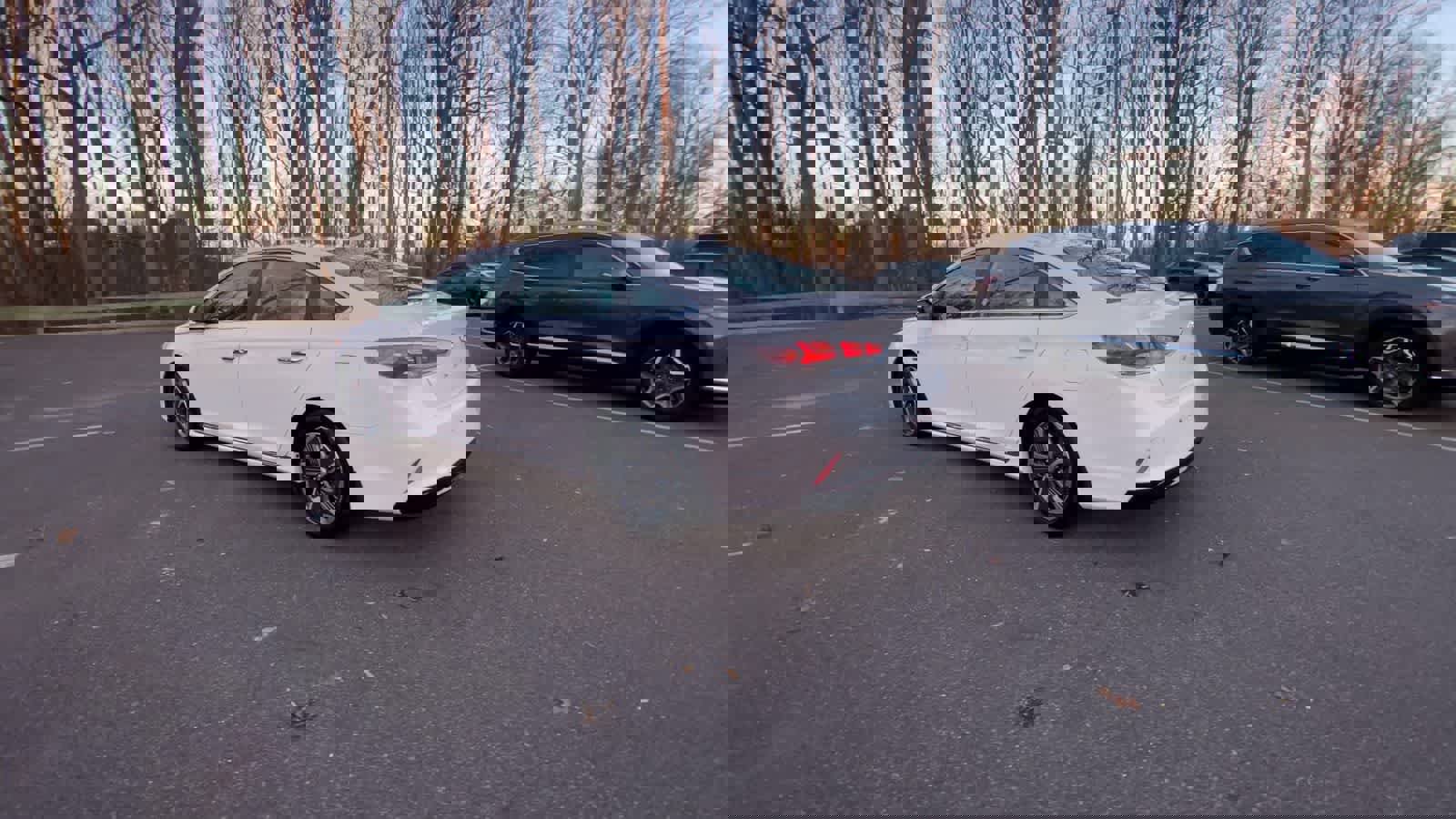 Used 2019 Hyundai Sonata Limited image 14