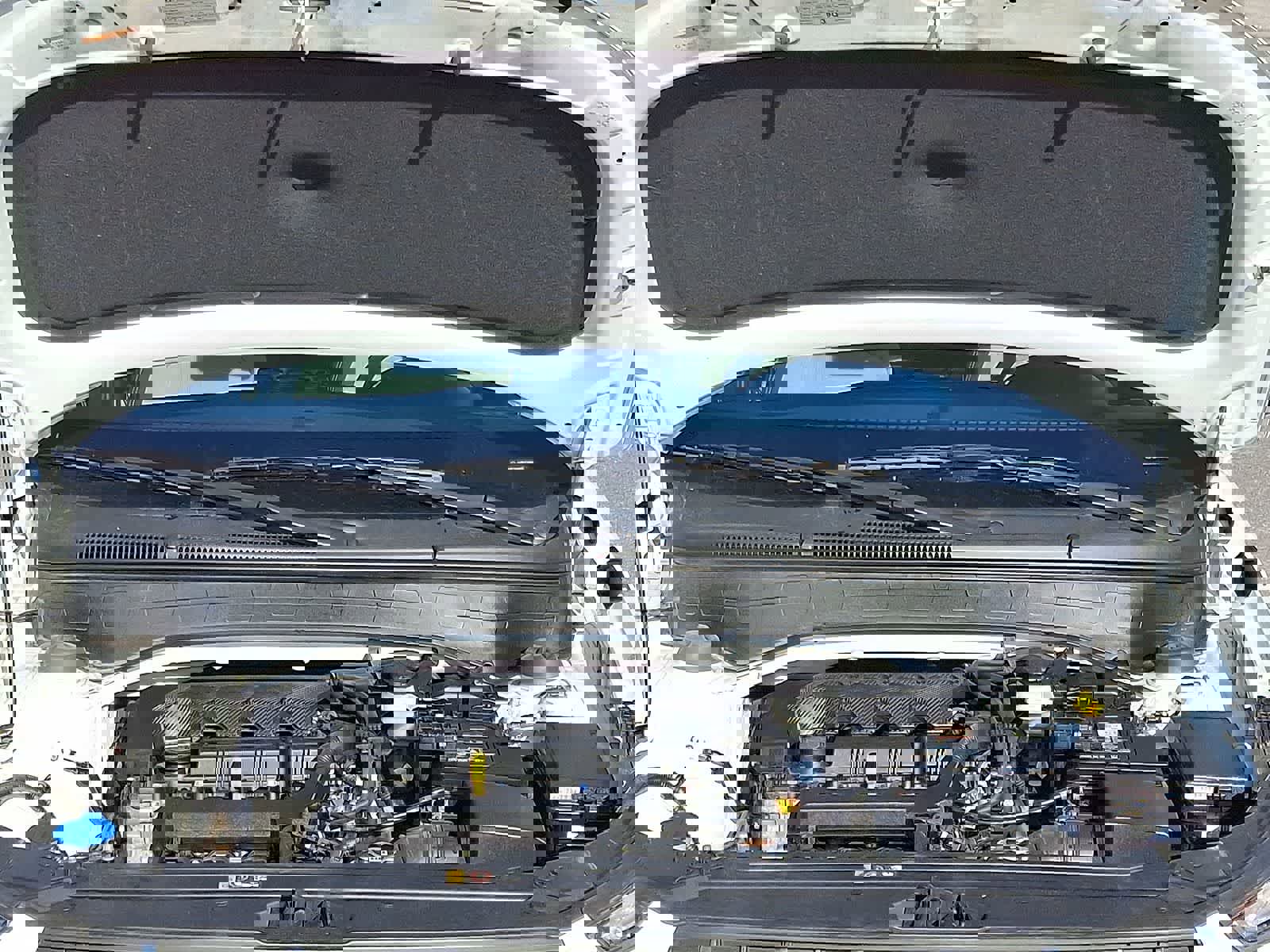 Used 2024 Hyundai Venue SEL image 34