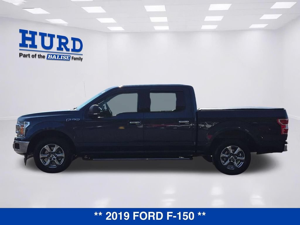 Used 2019 Ford F150 XLT w/ Equipment Group 302A Luxury RWD image 6