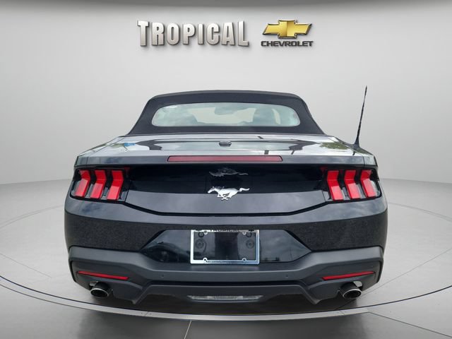 Used 2025 Ford Mustang Convertible RWD image 4