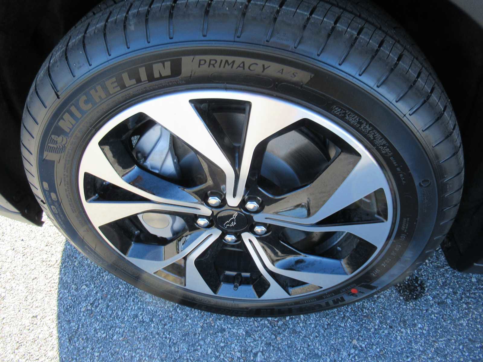 New 2024 Ford Mustang Mach-E Select w/ Comfort Package Lite image 9