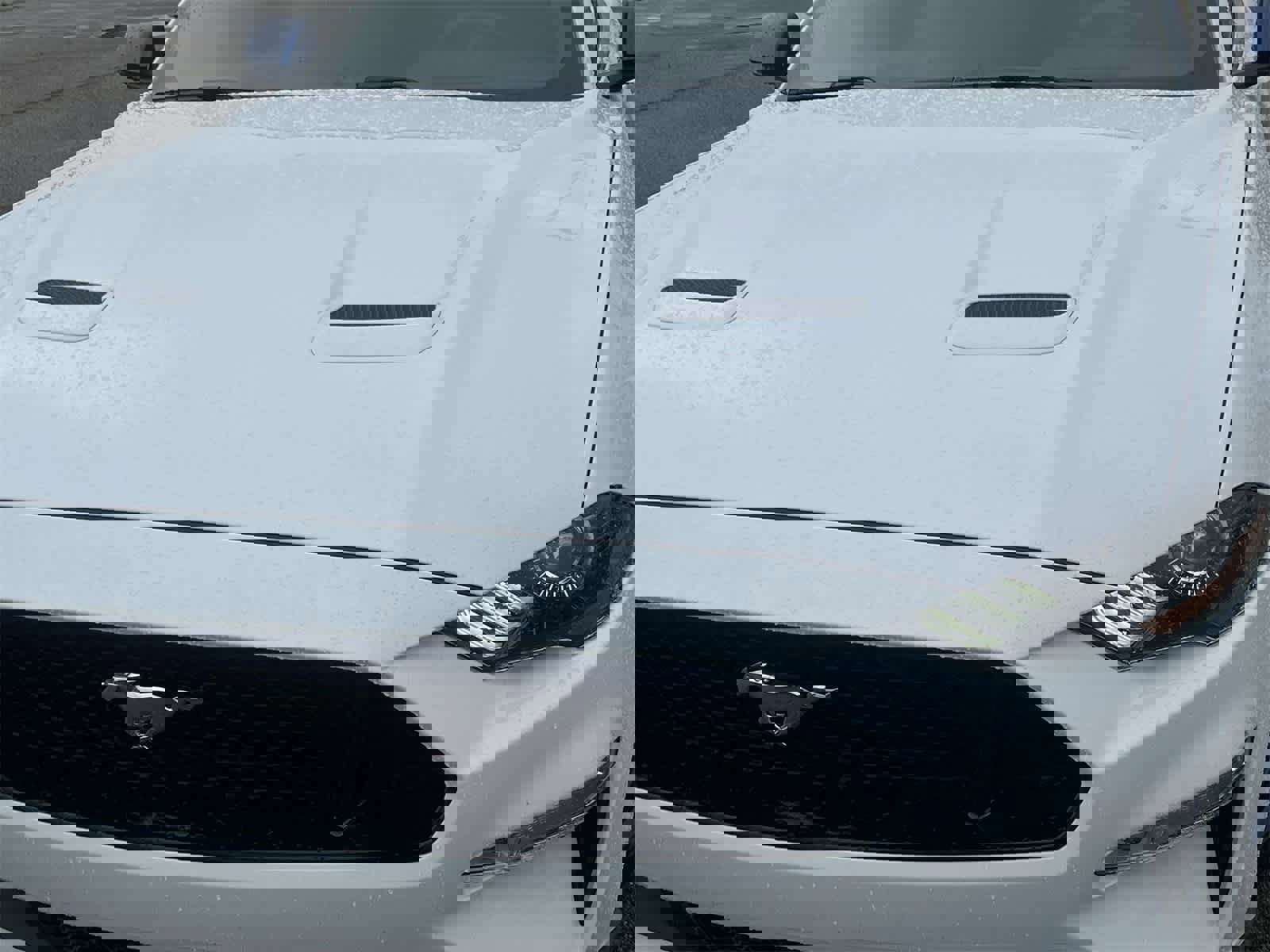 Used 2018 Ford Mustang GT Premium w/ Safe & Smart Package image 11