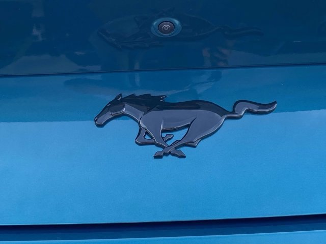 New 2026 Ford Mustang Coupe w/ Mustang Nite Pony Package RWD image 9