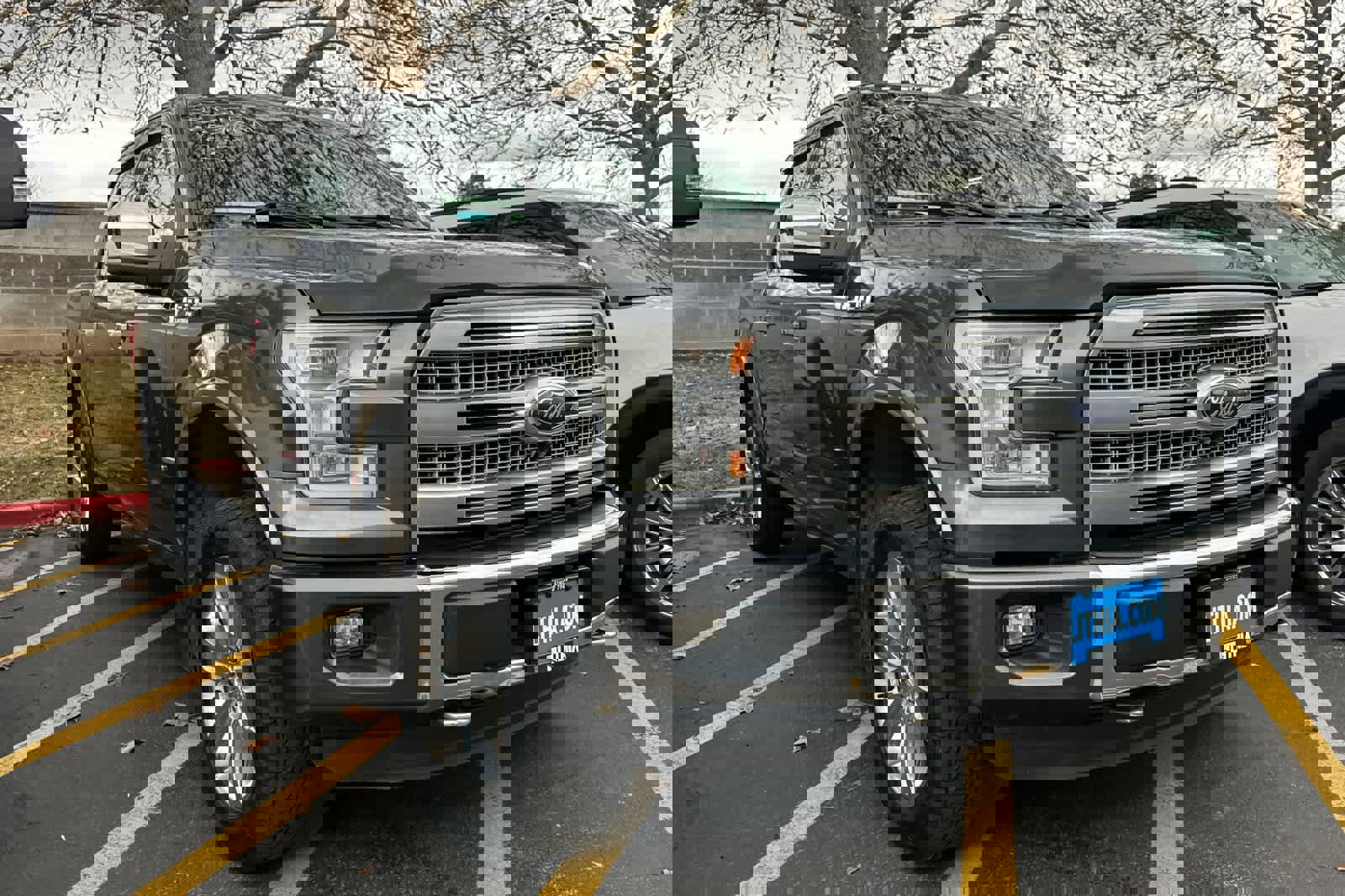 Used 2015 Ford F150 Platinum w/ Equipment Group 701A Luxury image 5