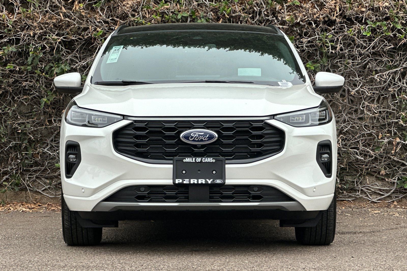 New 2024 Ford Escape ST-Line Elite w/ Premium Technology Package image 2