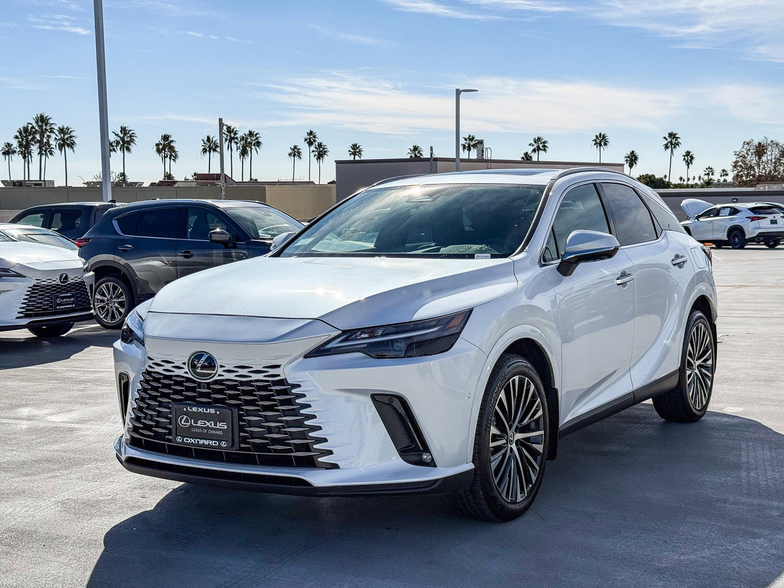 Used 2025 Lexus RX 350 image 3