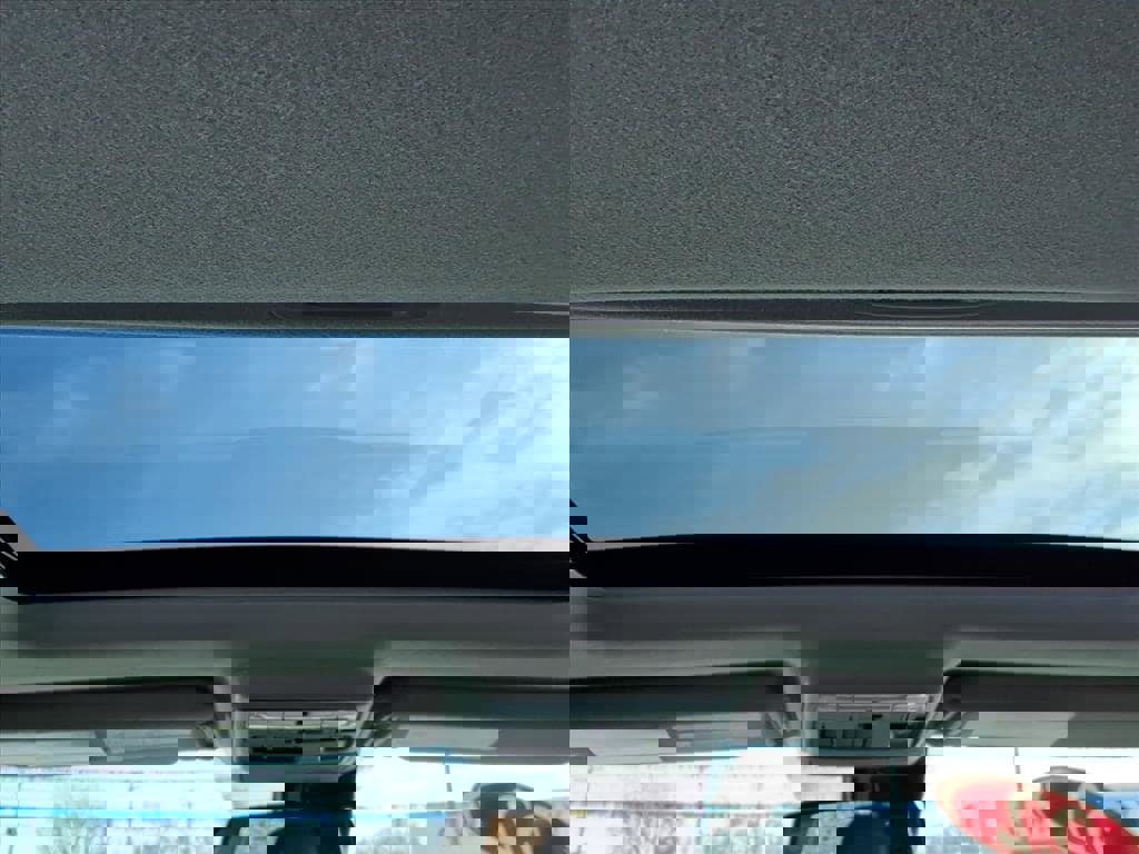 Used 2022 Toyota 4Runner SR5 Premium image 12