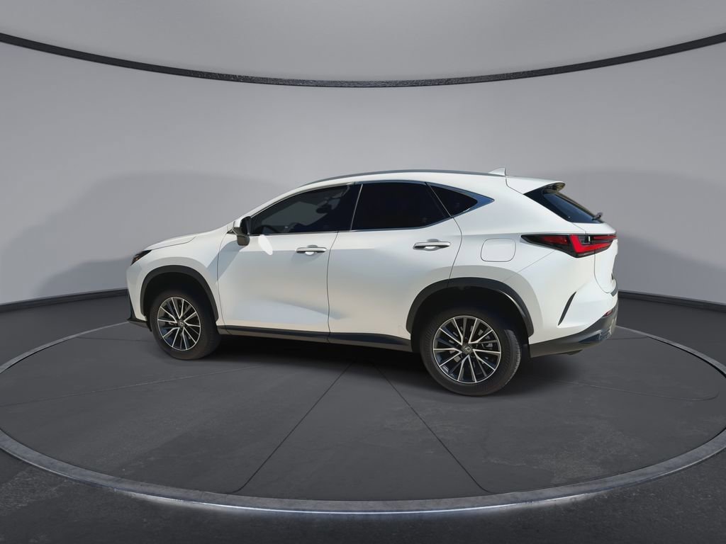 Used 2024 Lexus NX 250 FWD image 6
