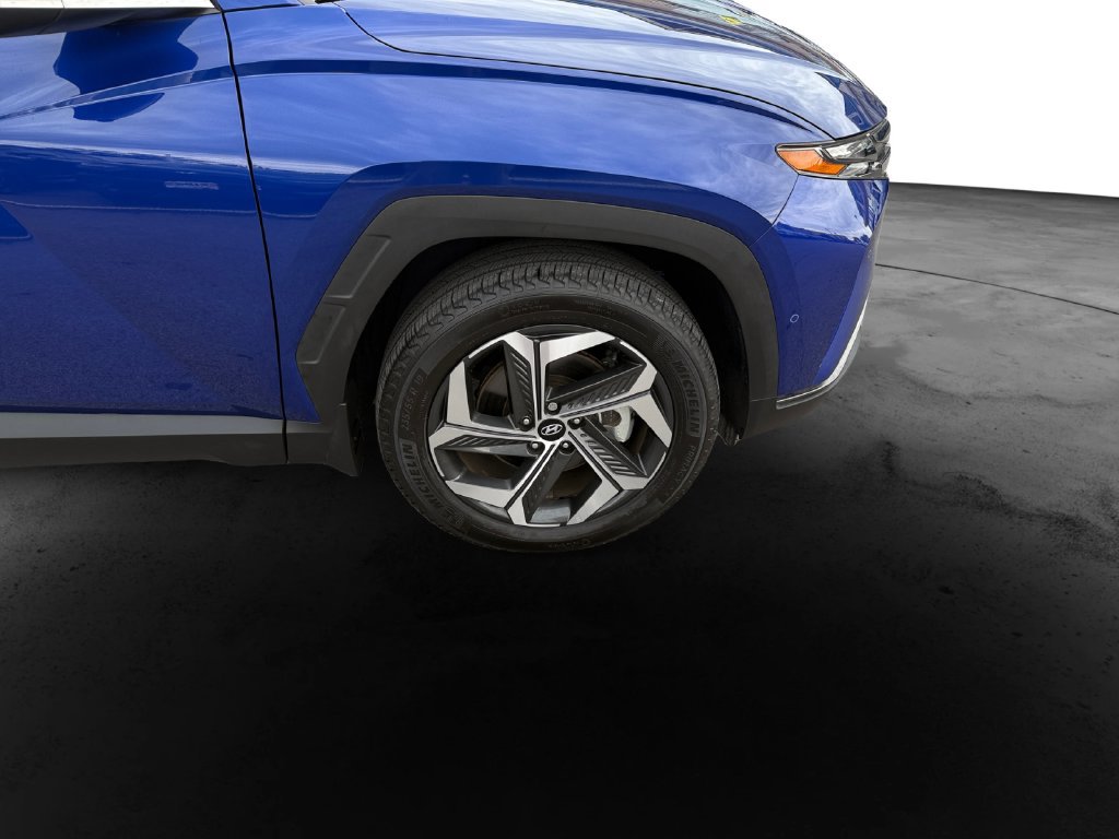 Used 2024 Hyundai Tucson Limited AWD/4WD image 13