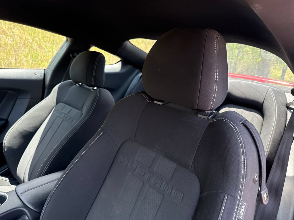 Used 2019 Ford Mustang Coupe w/ Ecoboost Performance Package RWD image 12
