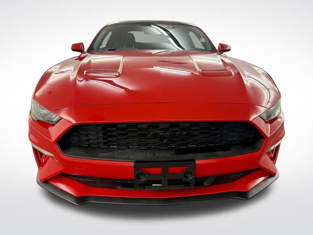 Used 2019 Ford Mustang Coupe w/ Black Accent Package image 3