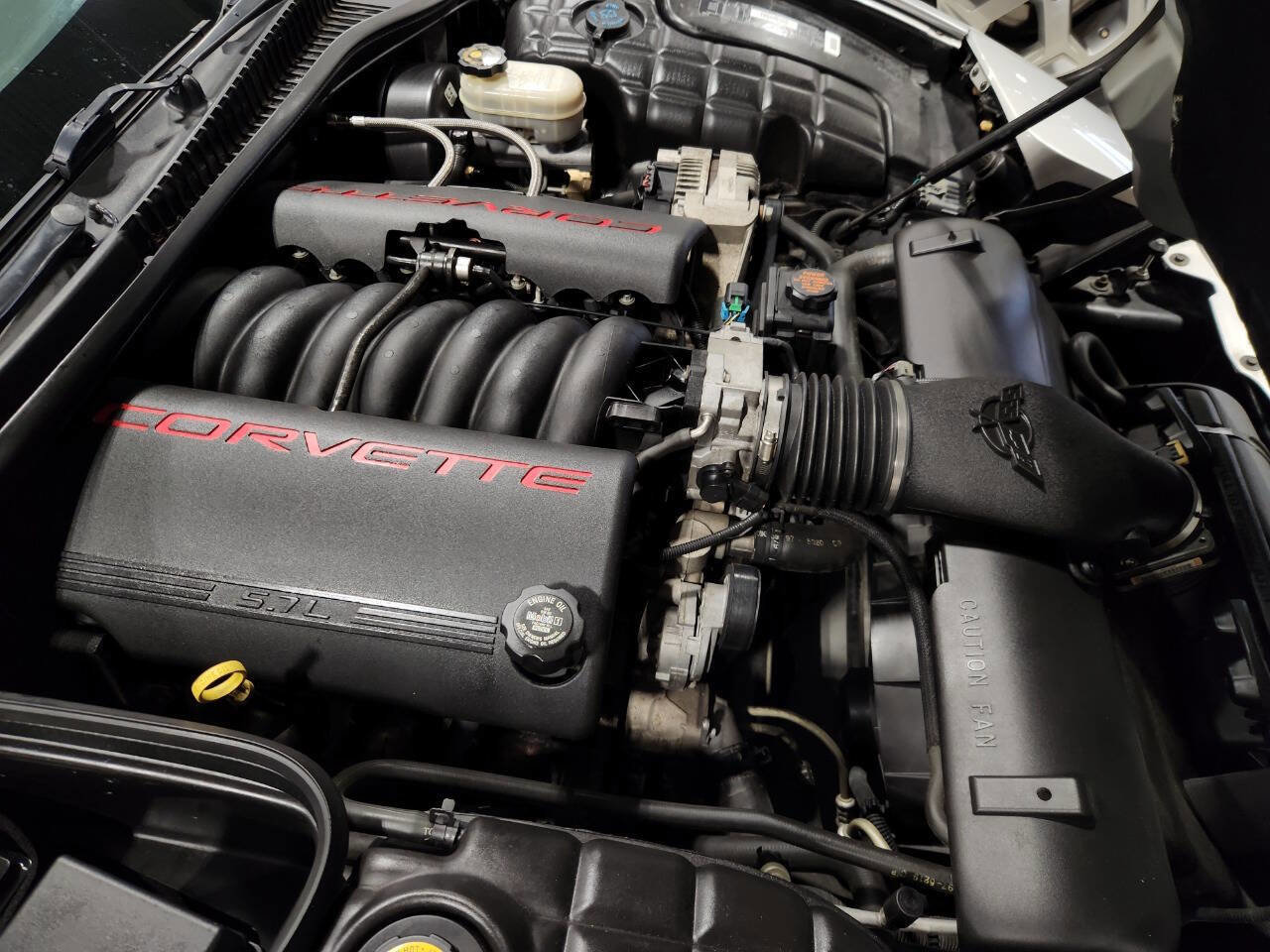 Used 1998 Chevrolet Corvette Coupe w/ Roof Pkg image 13