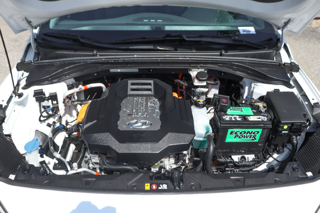 Used 2019 Hyundai Ioniq Electric FWD image 11
