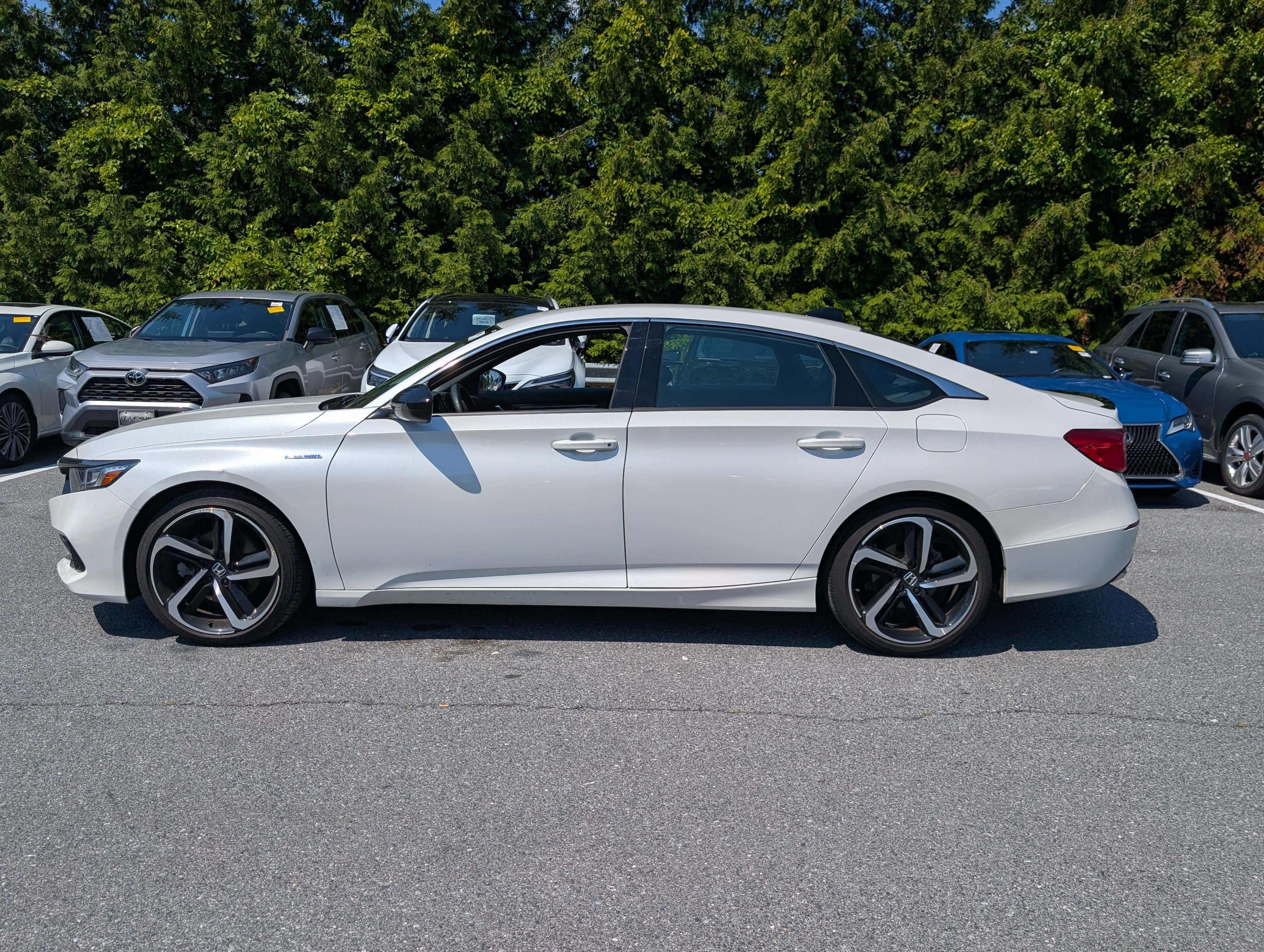 Used 2022 Honda Accord Sport image 6