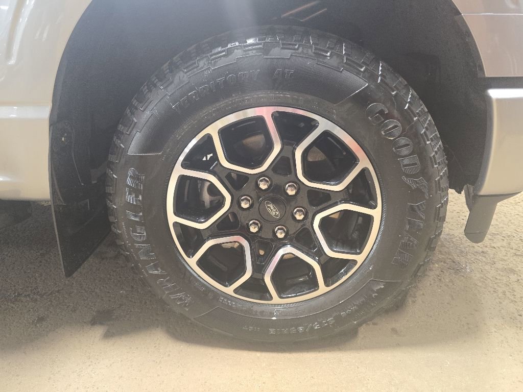 Used 2023 Ford F150 XL w/ STX Appearance Package AWD/4WD image 39