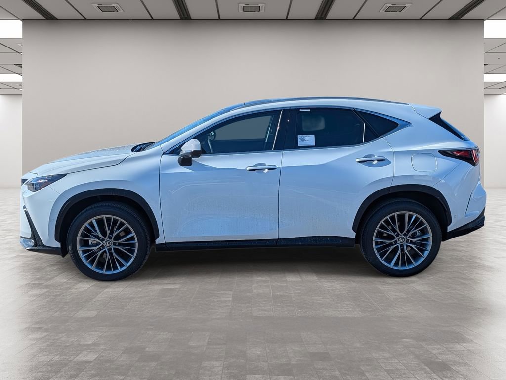 New 2026 Lexus NX 350 AWD w/ Cold Area Package image 3