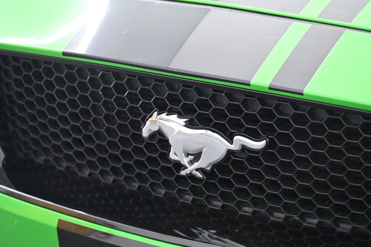 Used 2019 Ford Mustang GT Premium w/ GT Performance Package RWD image 10