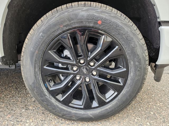 New 2026 Ford F150 XLT w/ Equipment Group 303A High image 19