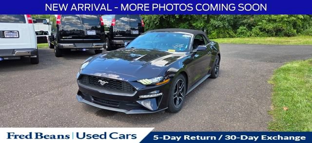 Used 2022 Ford Mustang Premium w/ Equipment Group 201A RWD image 3